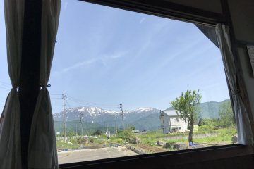 A pleasant view out the window!