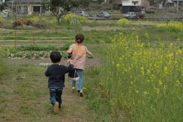 Run through the fields of gold.