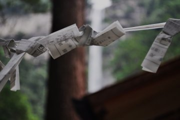 <p>오미쿠지; 폭포를 향해 뻗은 벚나무 가지에 묶여있던 운세쪽지</p>