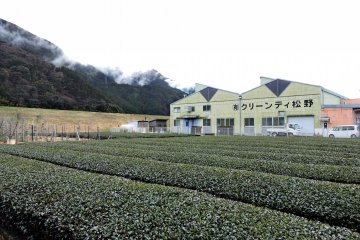 Clean Tea Matsuno Tea Factory