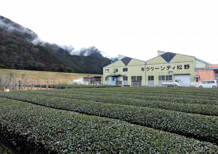 Clean Tea Matsuno Tea Factory