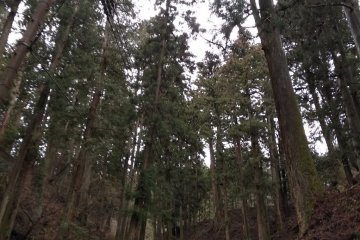Heading for The Present (Saito) 