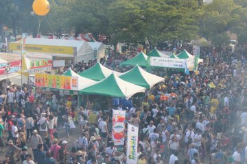 People come in hoards to delight in the Brazilian Day festivities!