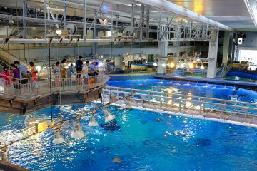 Behind the scenes of the Kuroshio Sea