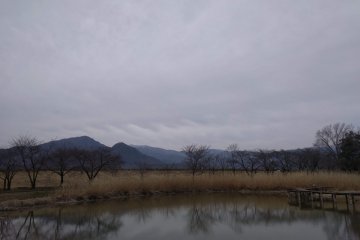Peace by a battle ground