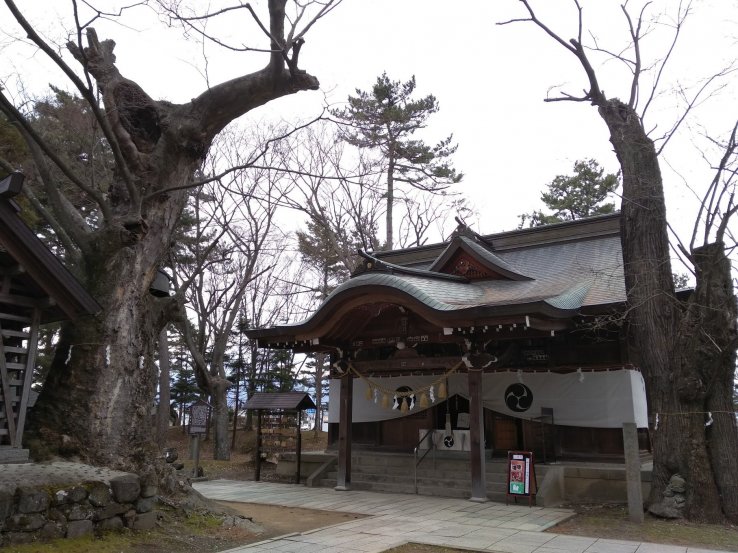 Even trees can be upside down