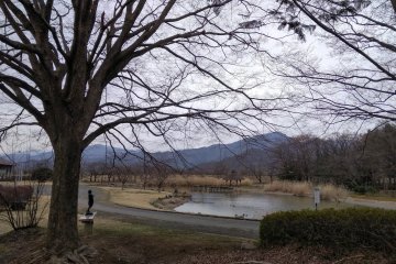 Park scene by the battle ground