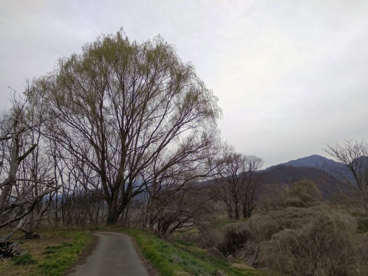 The walking trail 