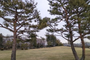Part of the park