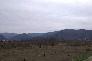 Fertile farmland 