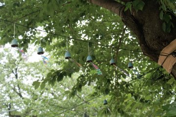 Ikegami Honmonji Wind Chime Festival 2019