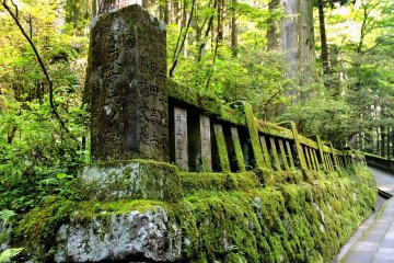 Luxuriant moss covers this low stone wall