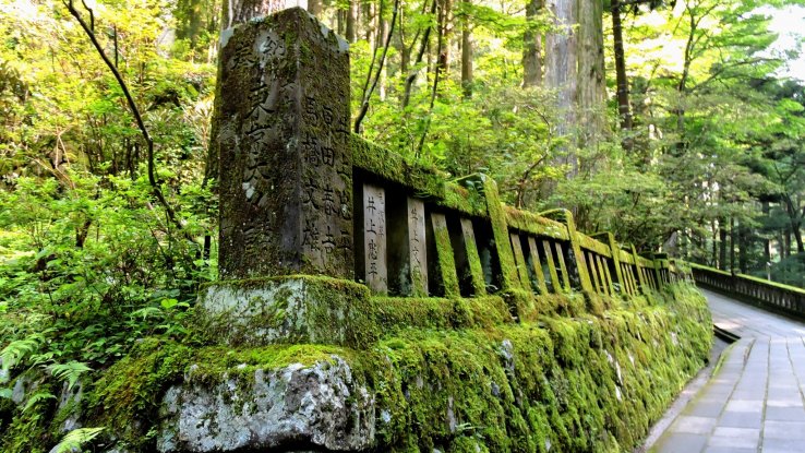 Luxuriant moss covers this low stone wall