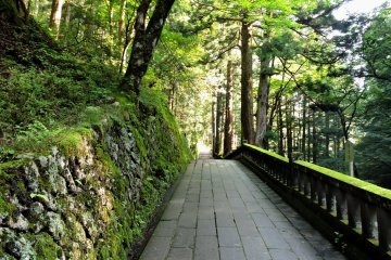 The path is about 700 meters long