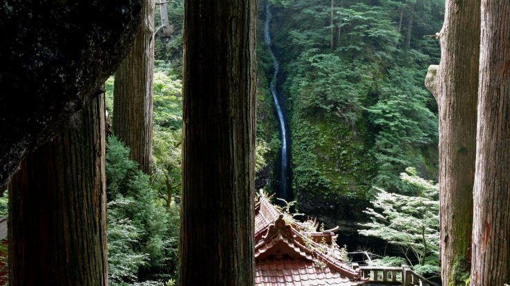A tall thin waterfall echoes the shape of the tree trunks
