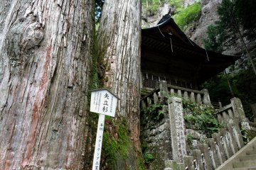The shrine buildings nestle into the rocks and trees