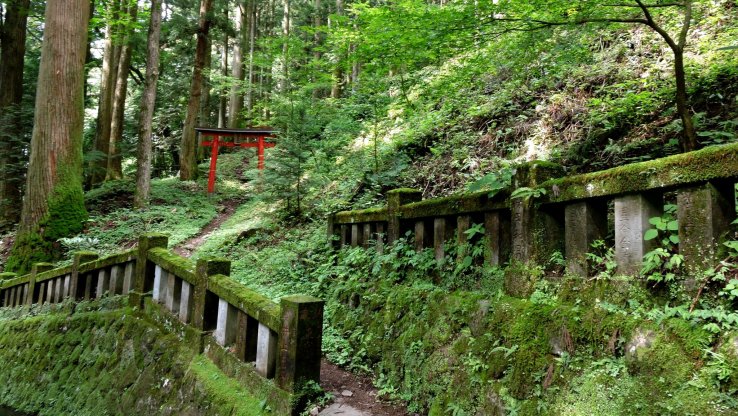 A narrow side path leading to a red torii
