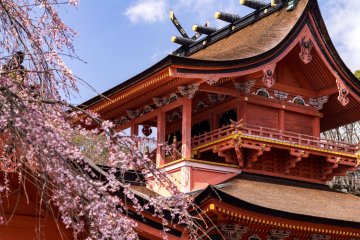 Fujisan Hongu Sengen Taisha Shrine