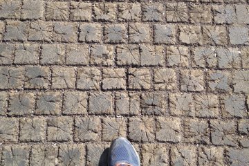 A street paved with chestnut wood