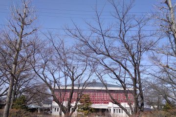 Out of chestnut town