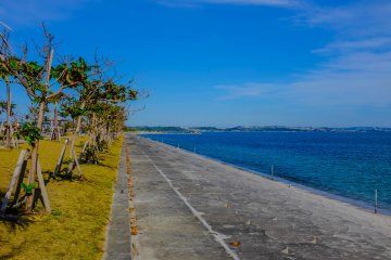 A seaside park allows residents to enjoy beautiful views and is also a popular local squid fishing ground