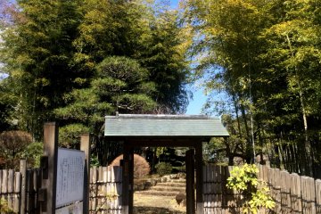 The gate to NihonTeien, the traditional tea garden