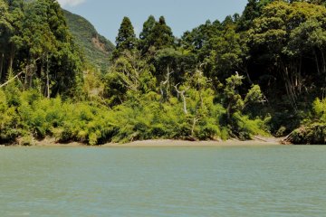 At times, the area near the river resembles a tropical island