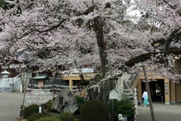 In the background, shrine attendant in colorful garb.