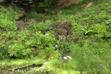 The garden and outside architeture may be of more interests to children or those that have trouble with advanced Japanese.