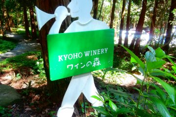 <p>The forest of wine is what this grove is called</p>