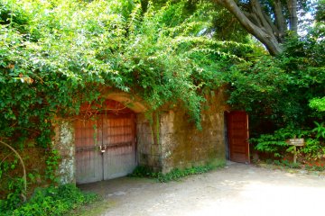 <p>The wine cellar</p>