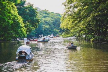 Paddling boats at Inokashira Park