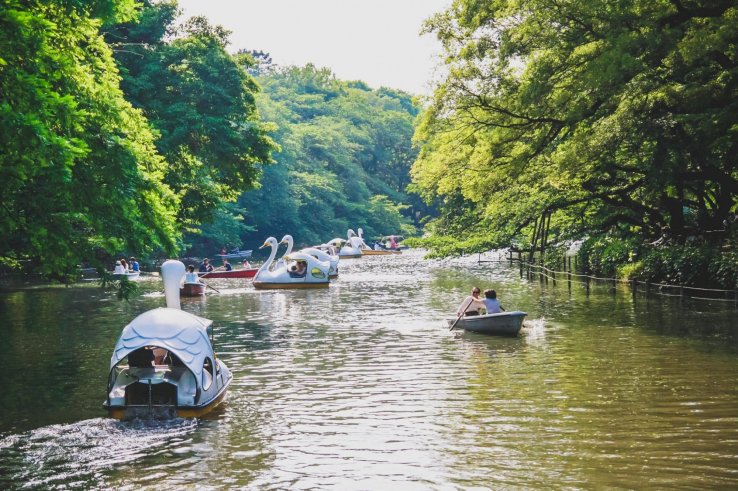 Paddling boats at Inokashira Park