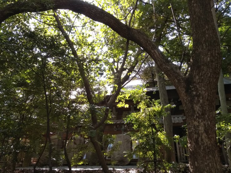 Sacred boulders visible through foliage