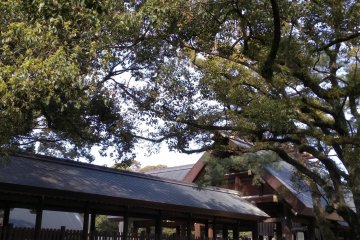 Side view of Atsuta