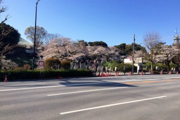 Two days later, the same view from across the street.