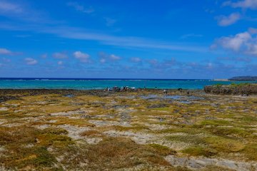 Beautiful views from Ou-jima