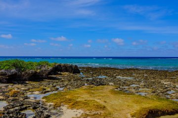 Beautiful views from Ou-jima
