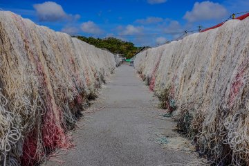 Fishing nets that seem to go for miles in Ou-jima port
