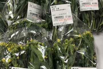 Canola, good eaten boiled & seasoned