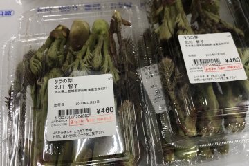 Tempura of bud of tara is the best