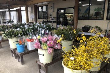 Fresh flowers