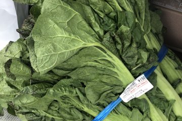 This market is great for picked mustard leaves 