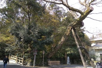 At the entrance to Geku 