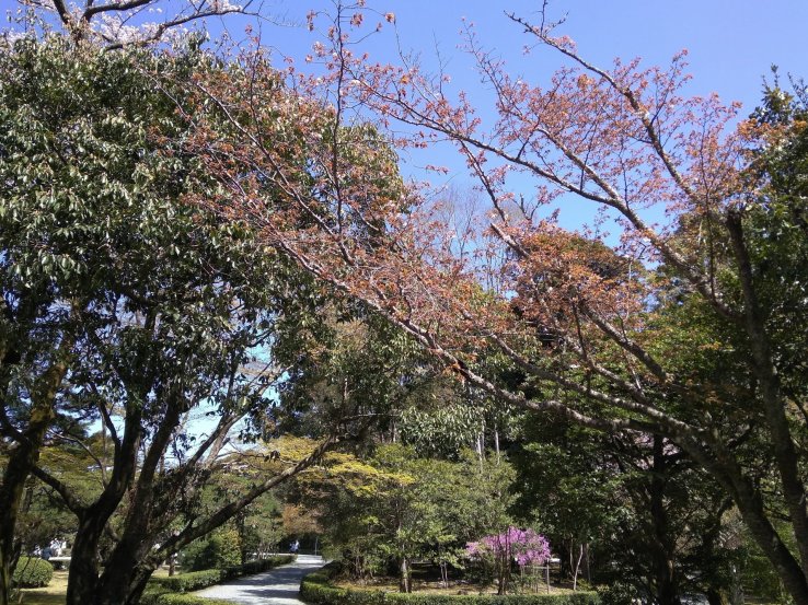 Garden entrance to Naiku
