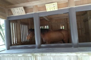 Kami at Naiku