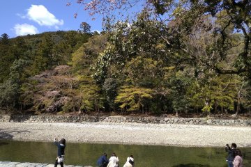 Purification at Isuzu River: Naiku