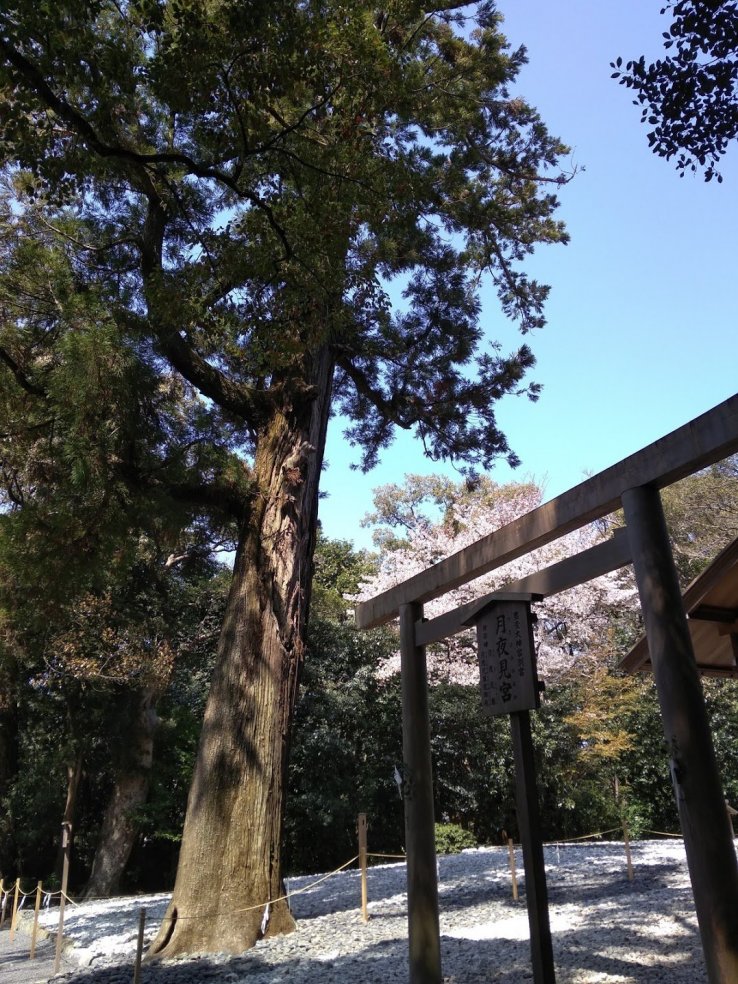 Tsukiyomi-no-miya 