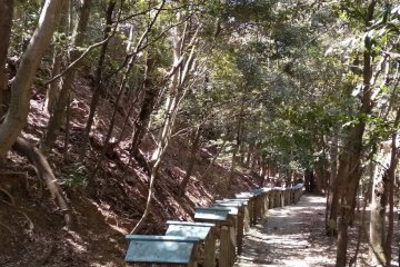 Neglected at Naiku 