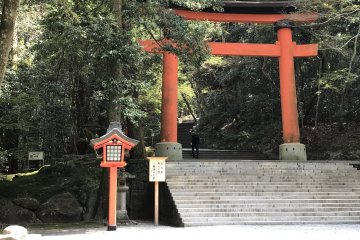There are many peaceful spots in the park, one graced by mature trees